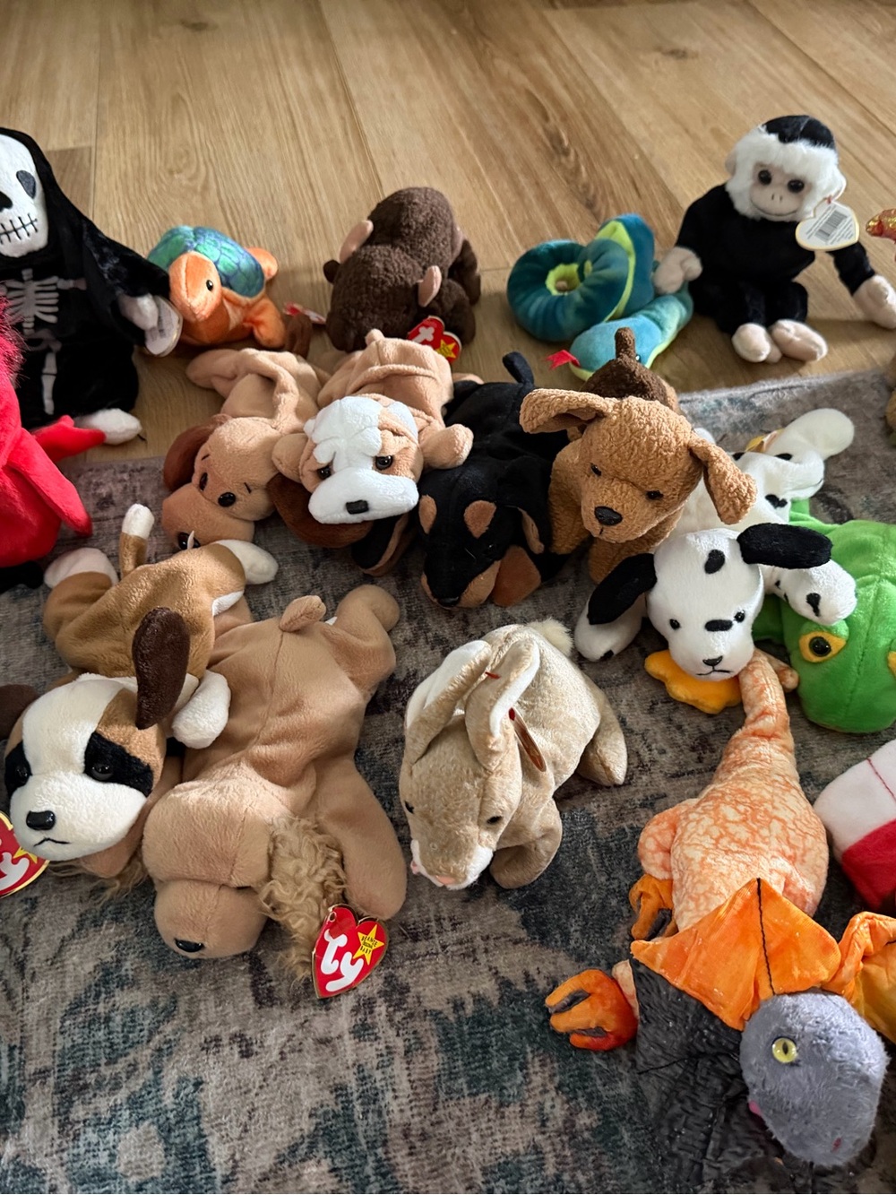 43 Beanie Babies